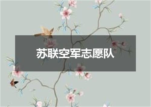 苏联空军志愿队