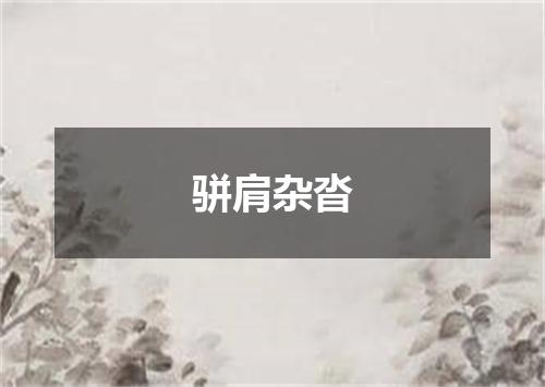 骈肩杂沓