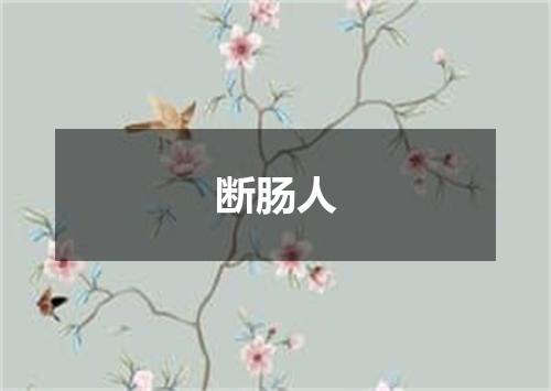 断肠人