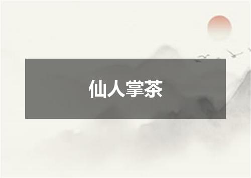 仙人掌茶