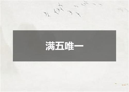 满五唯一