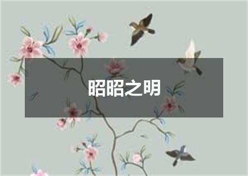 昭昭之明