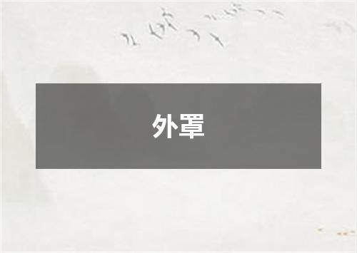 外罩