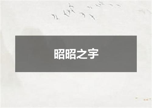 昭昭之宇