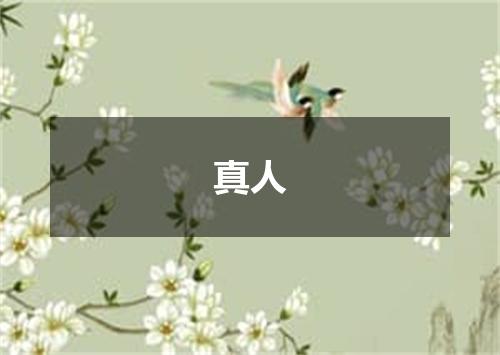 真人