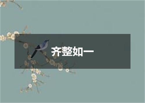 齐整如一