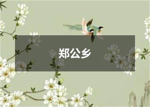郑公乡