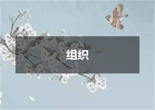 组织