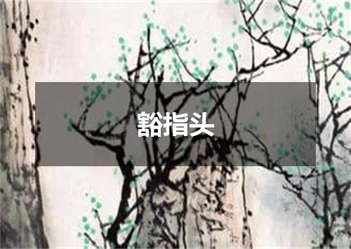豁指头