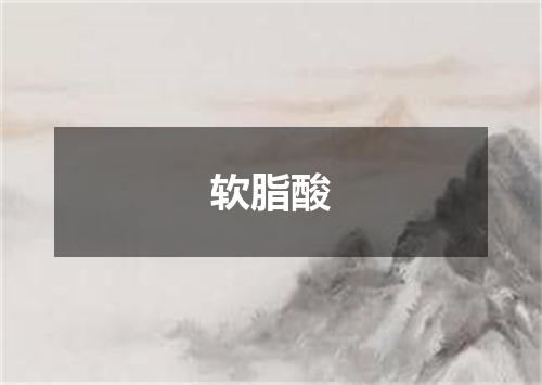 软脂酸