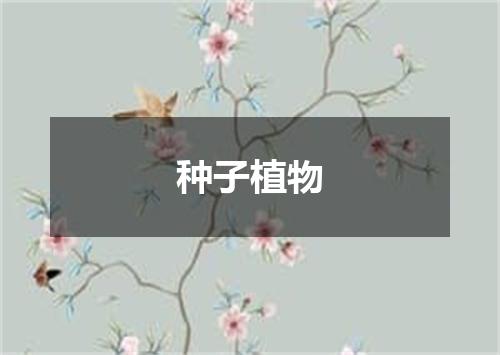 种子植物