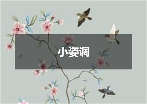 小姿调