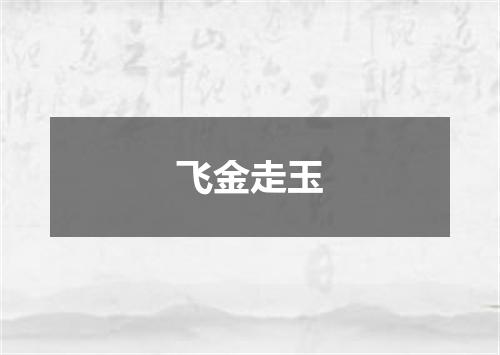 飞金走玉