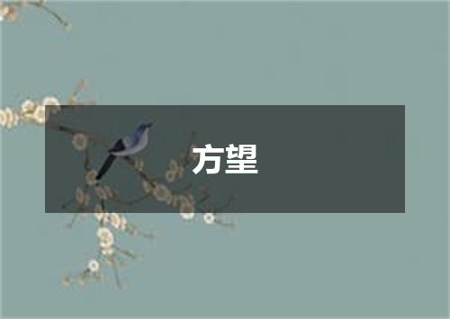 方望