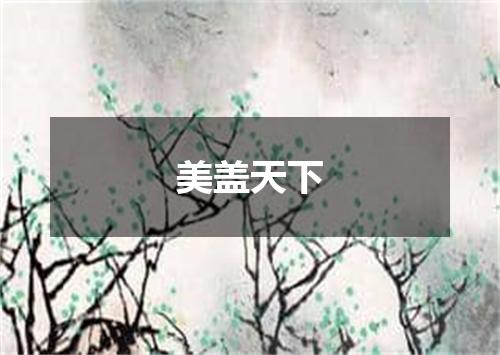 美盖天下
