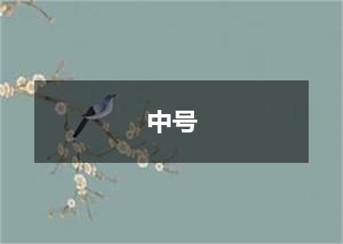 中号