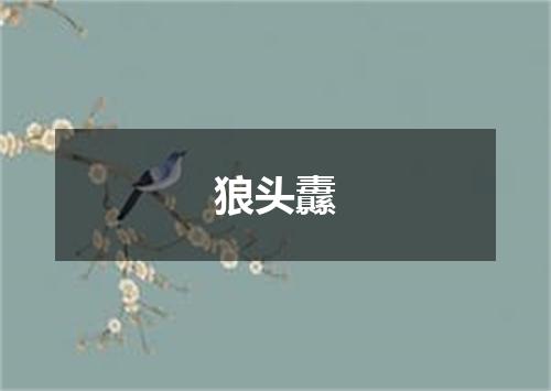 狼头纛