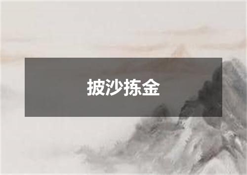 披沙拣金