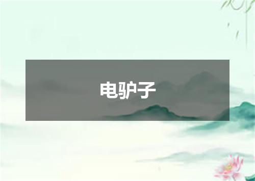 电驴子
