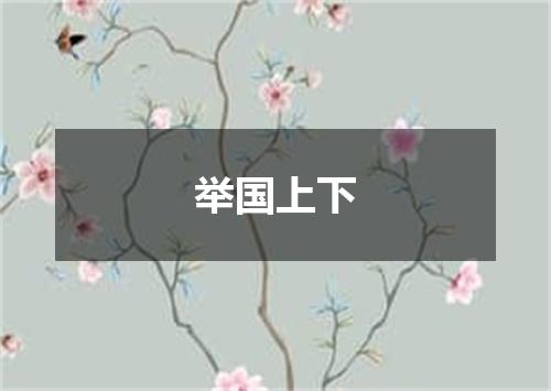 举国上下
