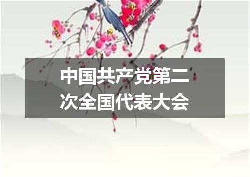 中国共产党第二次全国代表大会