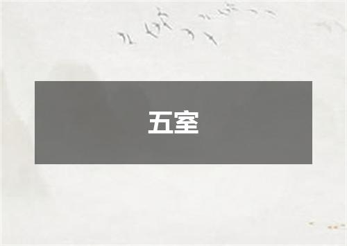 五室