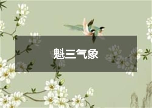 魁三气象