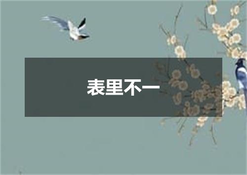 表里不一