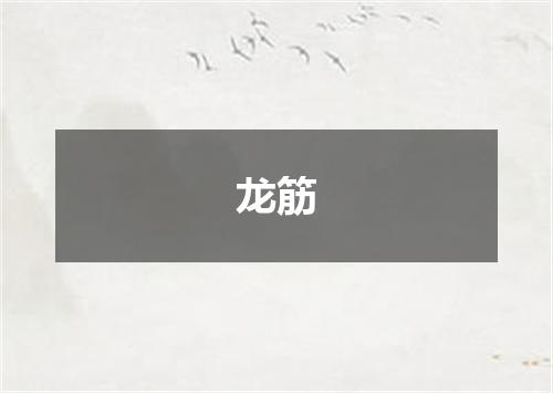 龙筋