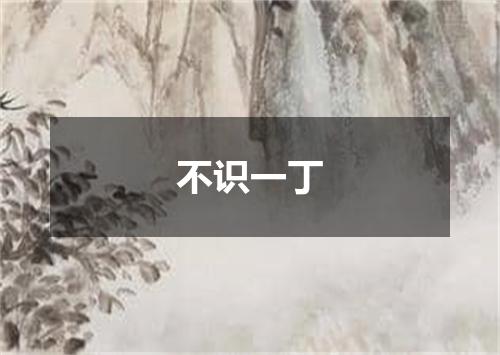 不识一丁