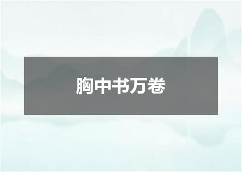 胸中书万卷