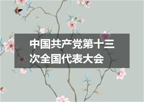 中国共产党第十三次全国代表大会