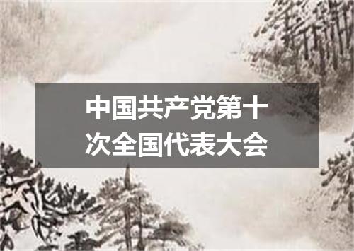 中国共产党第十次全国代表大会