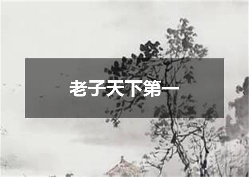 老子天下第一