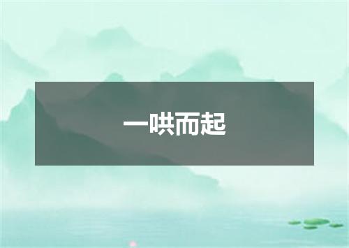 一哄而起
