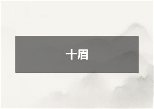 十眉