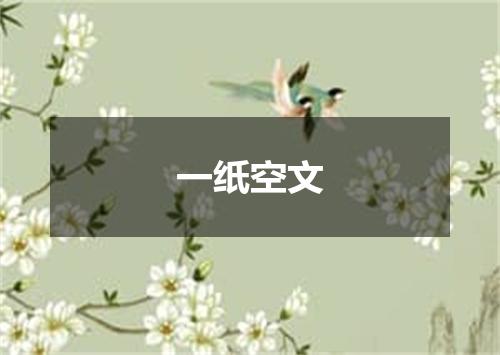 一纸空文