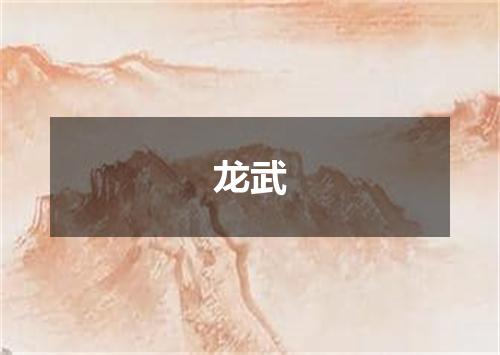 龙武