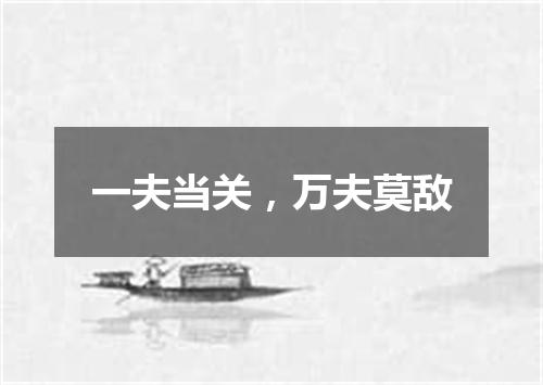 一夫当关，万夫莫敌