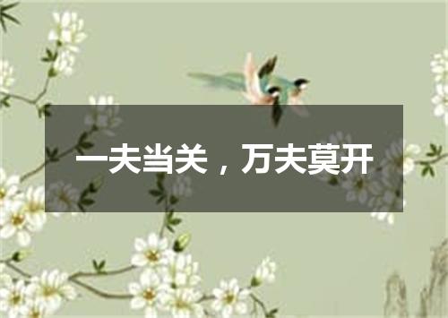 一夫当关，万夫莫开