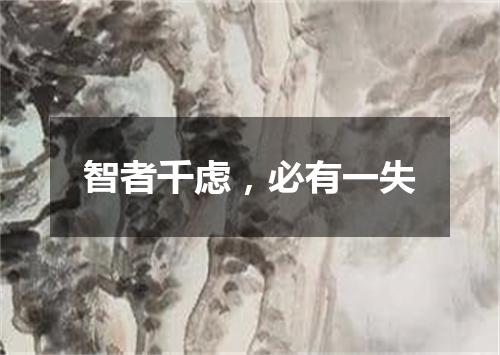 智者千虑，必有一失