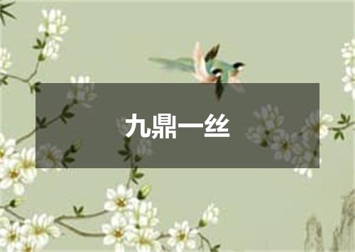 九鼎一丝