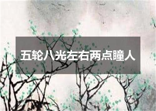 五轮八光左右两点瞳人