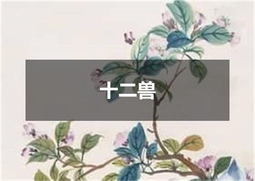 十二兽