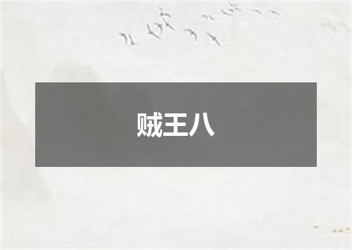 贼王八