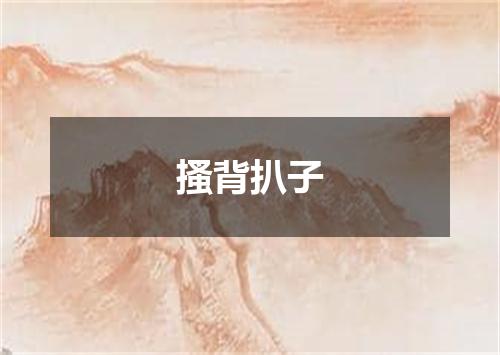 搔背扒子