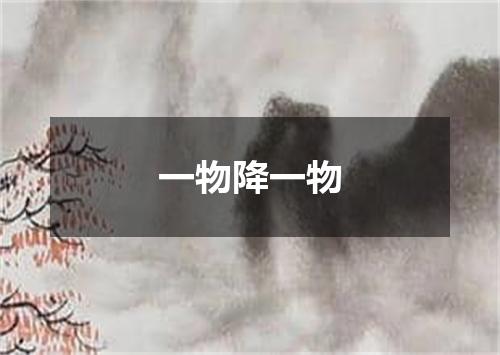 一物降一物