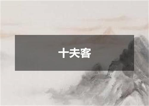 十夫客