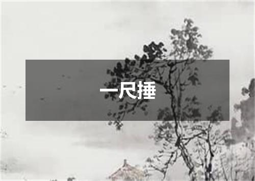 一尺捶
