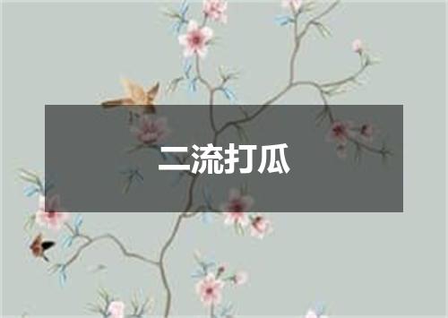 二流打瓜